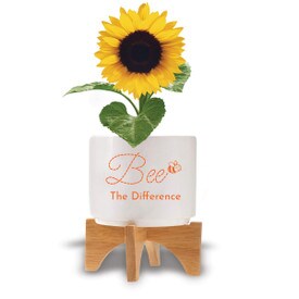Two-piece bamboo stand with modern white ceramic planter featuring the inspirational message “Bee The Difference.” Grows sunflowers.