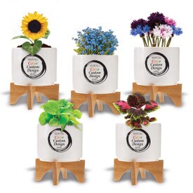 Modern white ceramic planter with bamboo stand featuring your full color logo or design. 5 seed packets to choose from.
